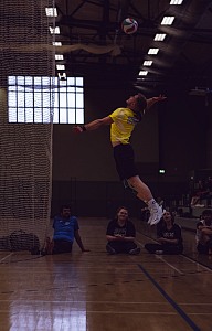 Das aktuelle Top-Bild der VMV-Bildergalerie!