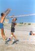 Auf Mixed-Hhe sehen Netz-Aktionen dann manchmal so aus!
Gre: 559 x 800, 73481 Byte
Urheber: active beach e.V.