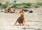 Das aktuelle Top-Bild der VMV-Bildergalerie!