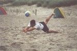 voller Einsatz!
Gre: 800 x 543, 76131 Byte
Urheber: active beach e.V.