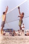 Holly beim Block, Conny im Angriff
Gr��e: 536 x 800, 73046 Byte
Urheber: active beach e.V.