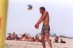 Hacki
Größe: 800 x 535, 50666 Byte
Urheber: active beach e.V.