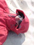 Ich wei� nicht wer es ist, aber er oder sie war sehr, sehr m�de!
Gr��e: 600 x 800, 49748 Byte
Urheber: active beach e.V.
