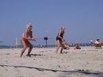 Eve und Godi im kleinen Finale
Gre: 600 x 450, 44829 Byte
Urheber: 1. VC Stralsund