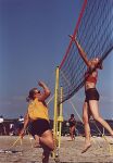 Gordi im Block
Gre: 416 x 600, 63526 Byte
Urheber: active beach e.V.