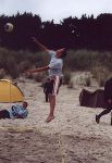 Brauner beim Sprungaufschlag
Gre: 412 x 600, 60514 Byte
Urheber: active beach e.V.