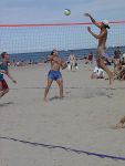Bjrn ber dem Netz
Gre: 450 x 600, 60750 Byte
Urheber: active beach e.V.