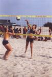 Der kommt wohl nicht bers Netz...
Gre: 408 x 600, 60854 Byte
Urheber: active beach e.V.