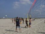 Brauner mit Adi
Gre: 600 x 450, 61429 Byte
Urheber: active beach e.V.