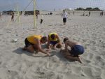 gemeinsame Scherbensuche
Gre: 600 x 450, 78143 Byte
Urheber: active beach e.V.