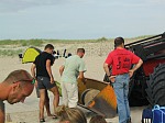 Die letzte Fuhre mit dem Traktor
Gre: 600 x 450, 74637 Byte
Urheber: active beach e.V.