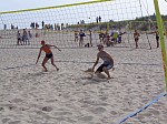 As!?
Gre: 600 x 450, 111421 Byte
Urheber: active beach e.V.