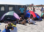 ... schlielich aber doch getroffen (Es gab ein T-Shirt, und das zieht sie sich hier an)
Gre: 600 x 450, 96486 Byte
Urheber: active beach e.V.