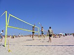 Holly und Tobi vs. Frank und Bulle
Gre: 600 x 450, 72149 Byte
Urheber: active beach e.V.