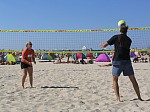 Bille und Schlti
Gre: 600 x 450, 96284 Byte
Urheber: active beach e.V.