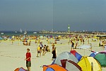 Turnierareal
Gre: 600 x 400, 75233 Byte
Urheber: active beach e.V. (Jule)