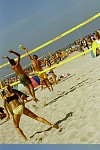 Monsterblock
Gre: 400 x 600, 89309 Byte
Urheber: active beach e.V. (Jule)