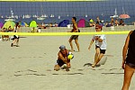 abgewehrt.
Gre: 600 x 400, 87405 Byte
Urheber: active beach e.V. (Jule)