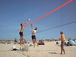 Frank und Bulle
Gre: 600 x 450, 71306 Byte
Urheber: active beach e.V.