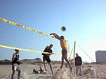 Holly vorbei an Bulles Block
Gre: 600 x 450, 81672 Byte
Urheber: active beach e.V.