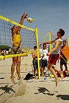 Bulle
Gre: 400 x 600, 100234 Byte
Urheber: active beach e.V.