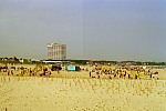 Turnierareal
Gre: 600 x 400, 89384 Byte
Urheber: active beach e.V.