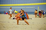 Verbissene Annahme
Gre: 600 x 400, 79402 Byte
Urheber: active beach e.V.