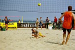 Bodenarbeit
Gre: 600 x 400, 96219 Byte
Urheber: active beach e.V.