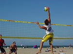 Brauner mit ganz langem Arm...
Gre: 600 x 450, 77729 Byte
Urheber: active beach e.V.
