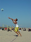 Brauner am Aufschlag
Gre: 450 x 600, 61805 Byte
Urheber: active beach e.V.