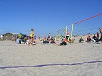 Rettungsversuch
Gre: 600 x 450, 72928 Byte
Urheber: active beach e.V.