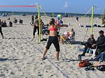 Vor dem Aus gerettet?
Gre: 600 x 450, 121010 Byte
Urheber: active beach e.V.
