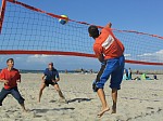 �bers Netz gemogelt
Gr��e: 600 x 450, 91641 Byte
Urheber: active beach e.V.