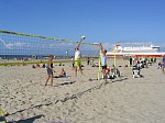 Brauner im Angriff
Gr��e: 600 x 450, 94763 Byte
Urheber: active beach e.V.