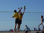 Bulle blockt
Gr��e: 600 x 450, 72794 Byte
Urheber: active beach e.V.