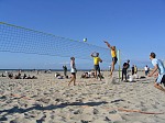 Nette Blockhhe
Gre: 600 x 450, 96615 Byte
Urheber: active beach e.V.