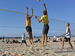 Bulle blockt, Frank in der Abwehr
Gre: 600 x 450, 98986 Byte
Urheber: active beach e.V.