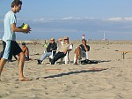 Frank vor den Augen seiner Eltern
Gre: 600 x 450, 78618 Byte
Urheber: active beach e.V.