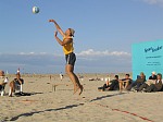 Bulle. Hinterfeldangriff?
Gre: 600 x 450, 68384 Byte
Urheber: active beach e.V.
