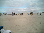 Vom Winde verweht? Samstag Nachmittag!
Gre: 600 x 450, 53270 Byte
Urheber: active beach e.V.