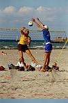 Bulle ltet
Gre: 400 x 600, 92715 Byte
Urheber: active beach e.V.