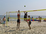 Schlti im Angriff
Gre: 600 x 450, 97894 Byte
Urheber: active beach e.V.