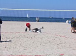 ... und legt den Ball vorbildlich vor Cathrin ab
Gre: 600 x 450, 91350 Byte
Urheber: active beach e.V.