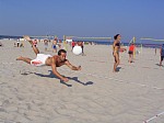 Bulle mit dem Instinkt fr das gute Foto...
Gre: 600 x 450, 67315 Byte
Urheber: Tobi (active beach e.V.)