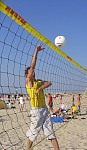 Netzaktion
Gre: 348 x 600, 83607 Byte
Urheber: Tobi (active beach e.V.)