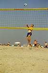 Andre beim Aufschlag
Gre: 400 x 600, 72550 Byte
Urheber: active beach e.V. (Jule)