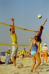 Tommy greift an
Gre: 400 x 600, 90354 Byte
Urheber: active beach e.V. (Jule)