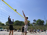Fabian beim Block
Gre: 600 x 450, 100994 Byte
Urheber: active beach e.V.