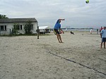 Markus beim Aufschlag
Gre: 600 x 450, 89305 Byte
Urheber: active beach e.V.