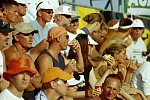 Das aktuelle Top-Bild der VMV-Bildergalerie!